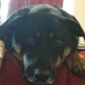 Meet your Posher, Shayne